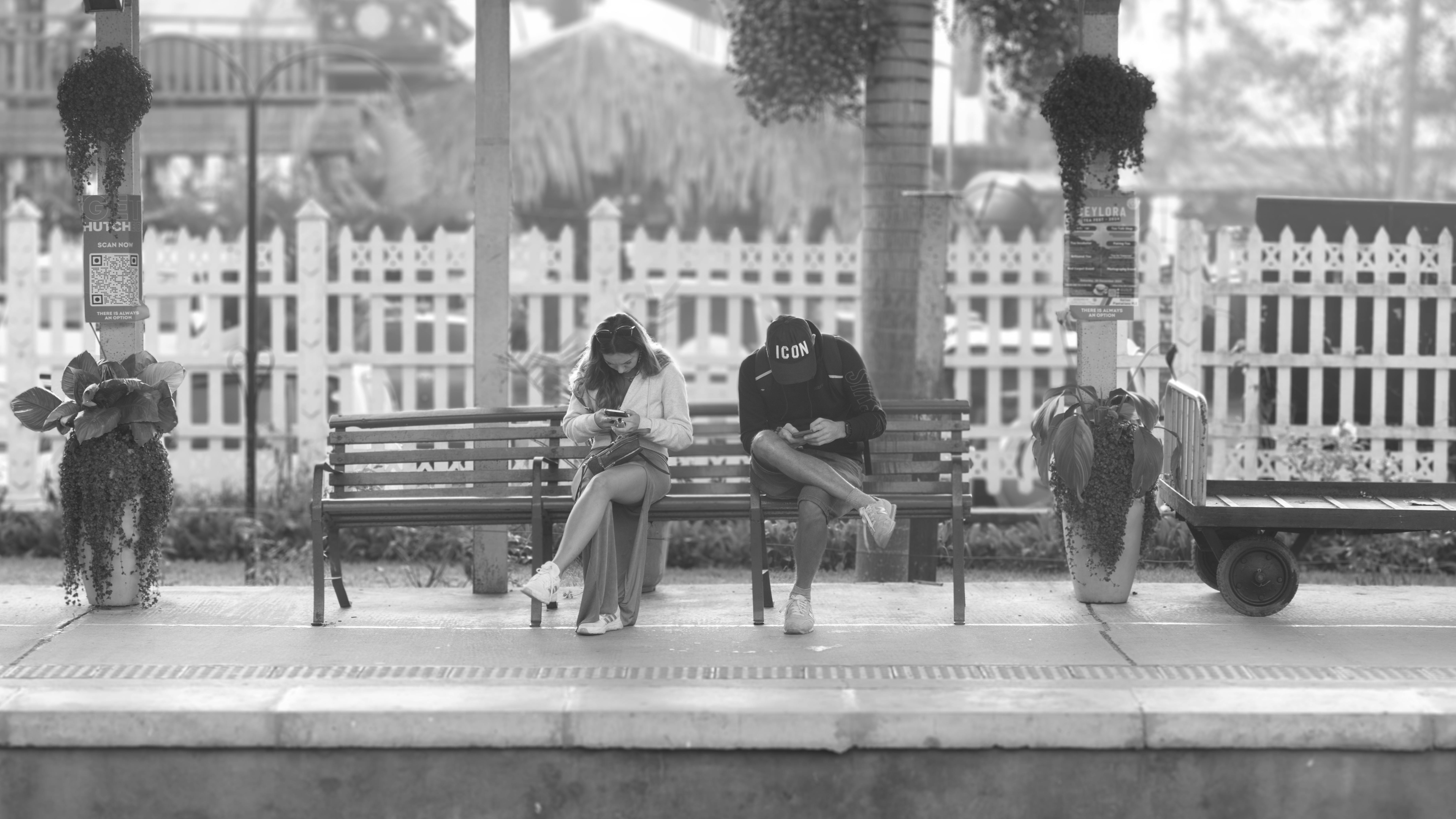 Plant Ceremonies Explained: A Guide to Ancient Rituals