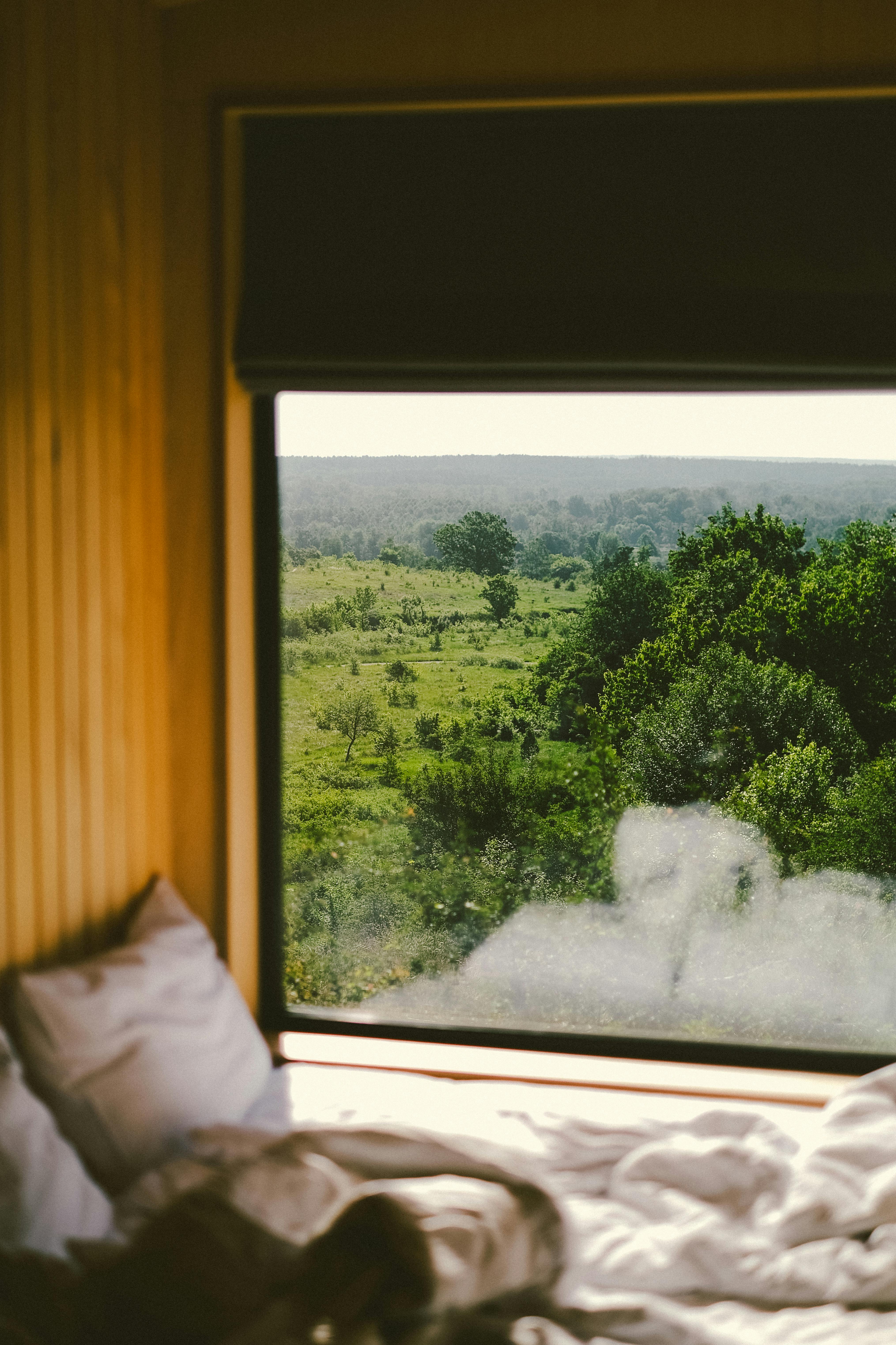 Enjoy a relaxing view of lush greenery from a cozy cabin bedroom in Ukraine, ideal for a nature escape.