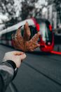 Unrecognizable person holding leaf in hand and standing near modern train in autumn day