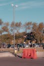 Young Man Skateboarding at a Park