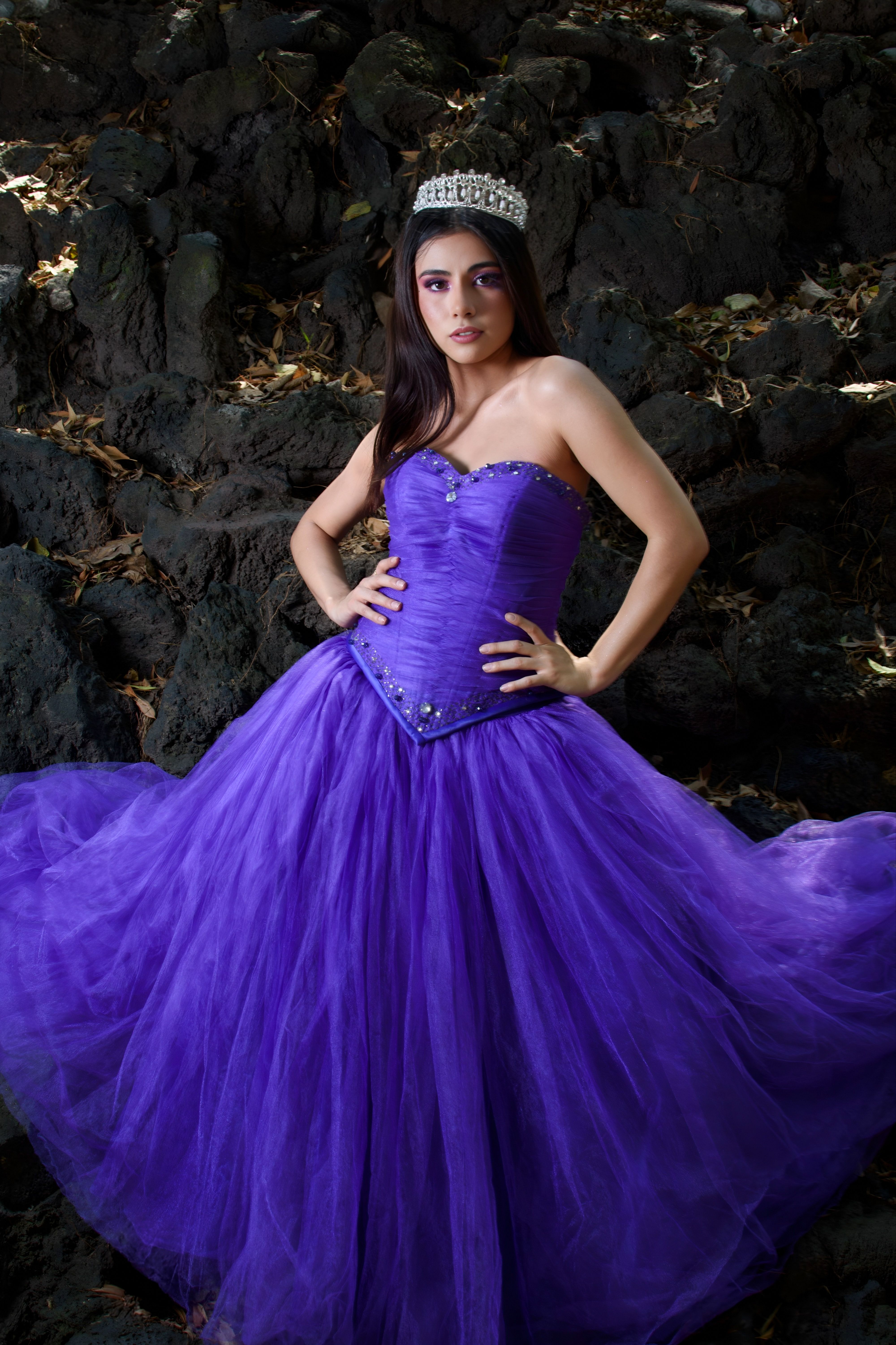 Elegant Woman in Purple Gown with Tiara Outdoors · Free Stock Photo