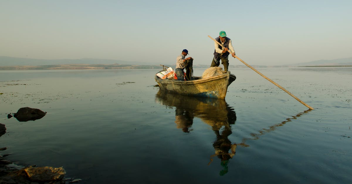 Ultimate Guide to White River Trout Fishing in 2026