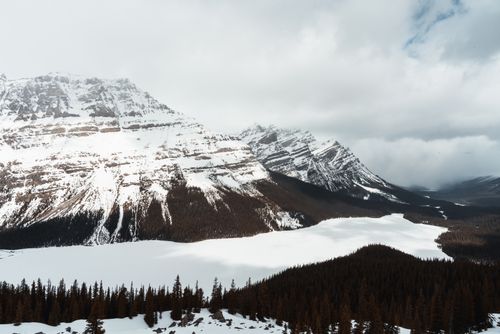 Free Frozen Peyto Lake in the Canadian Rockies Stock Photo