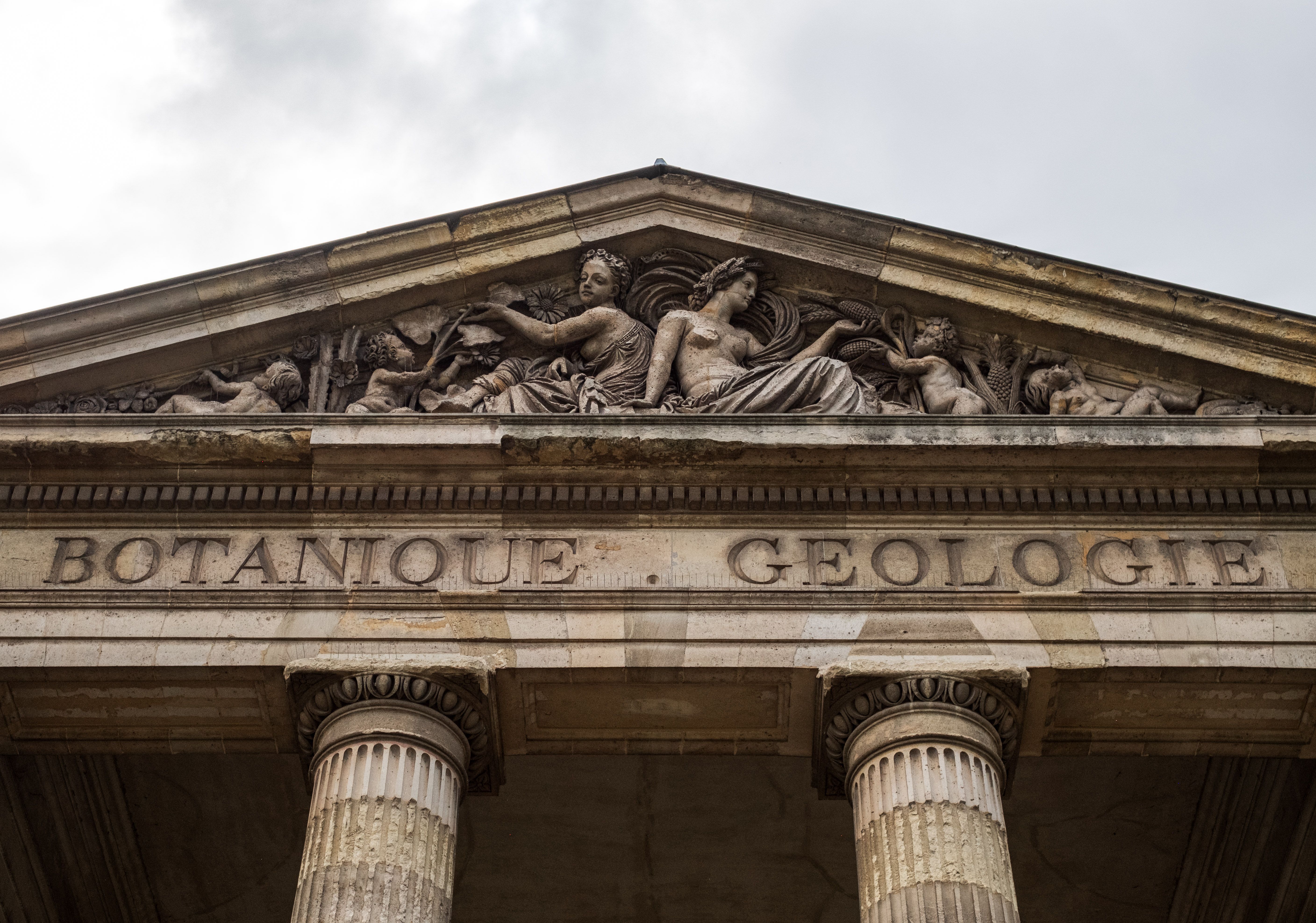 Architectural Detail of Botanical and Geology Museum · Free Stock Photo
