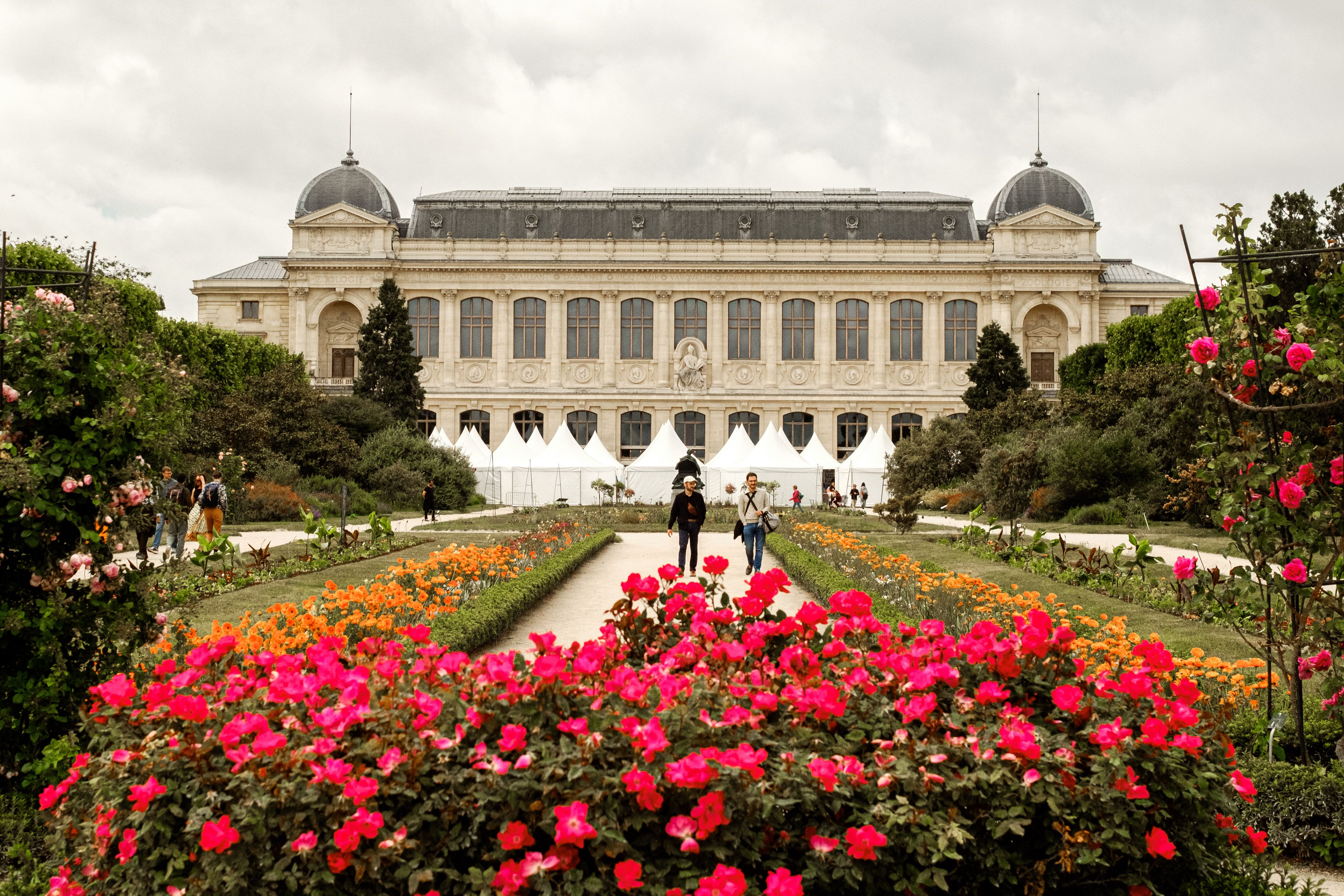 Le jardin des plantes et le quartier des Beaux-Arts