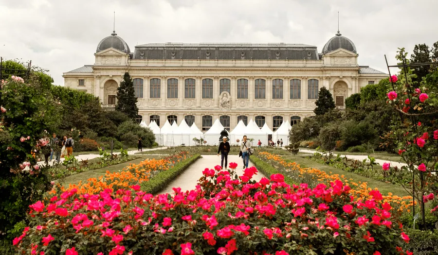 Le jardin des plantes et le quartier des Beaux-Arts