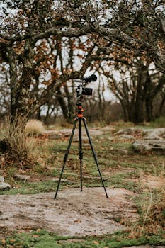 Photographer