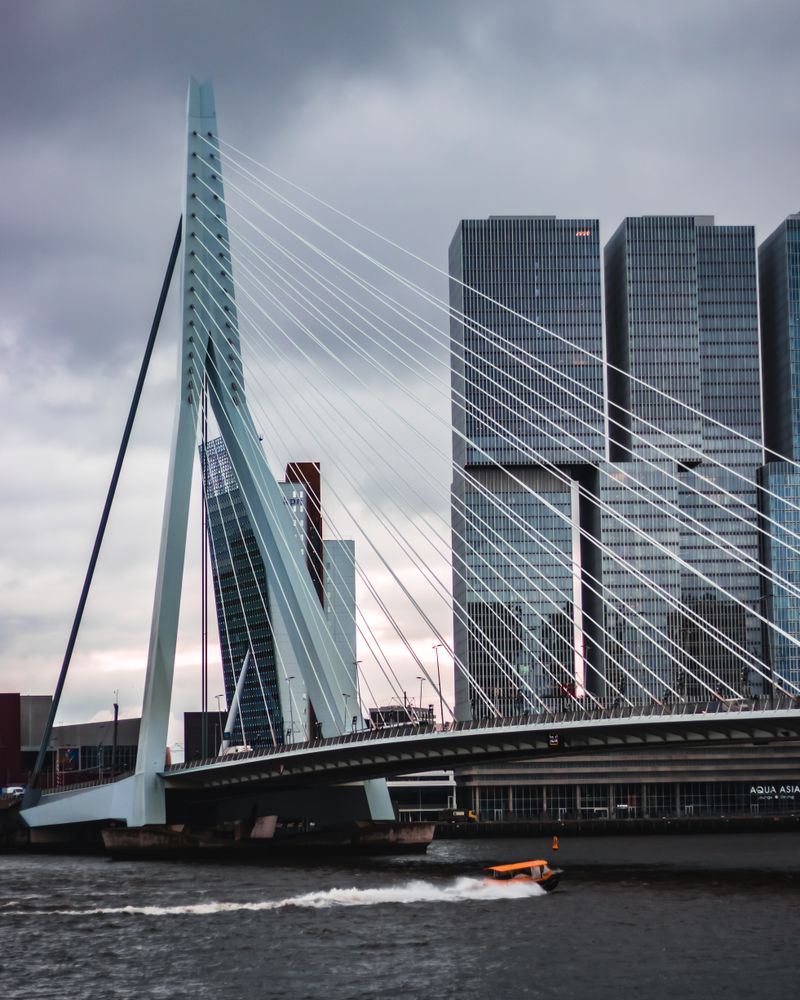Student rooms in Rotterdam