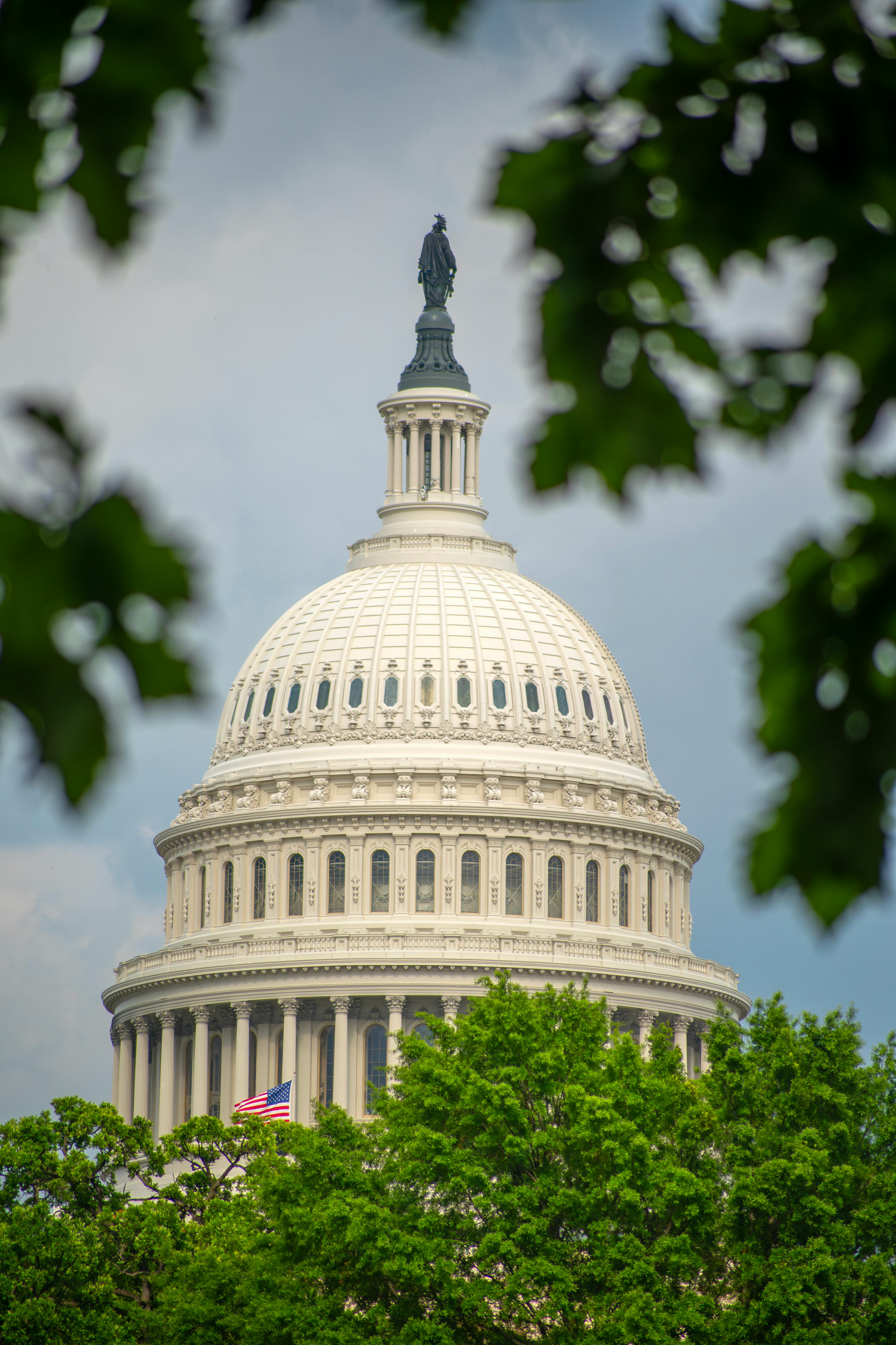 Capture of the iconic US Capitol dome surrounded by lush greenery in Washington, D.C.