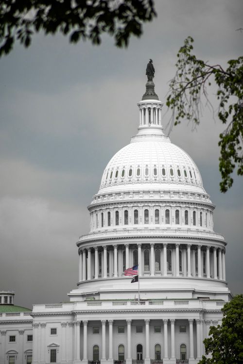 Free The majestic US Capitol Building in Washington DC, capturing its grand architecture and symbolic presence. Stock Photo