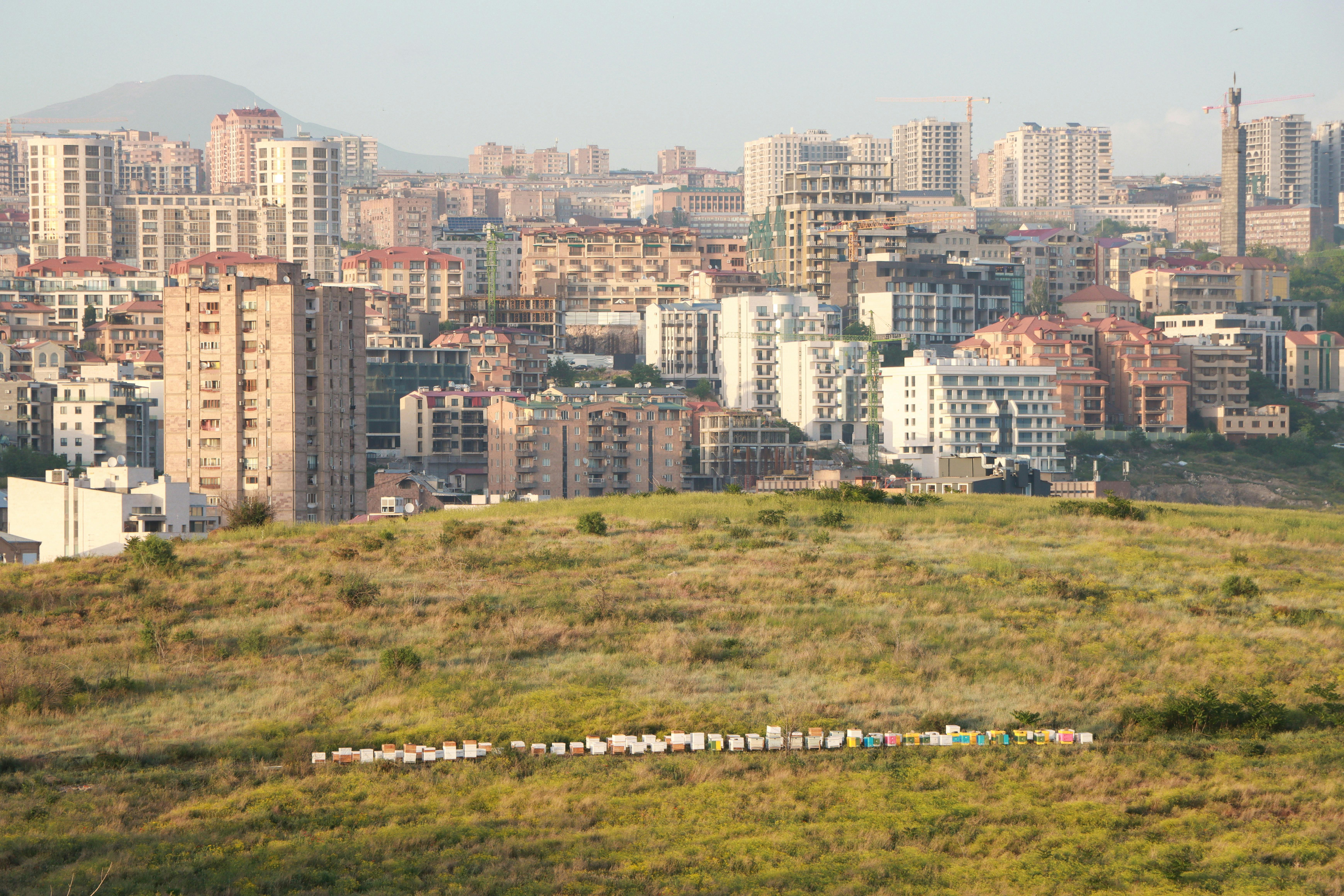 Sustainable Living Tips for Urban Dwellers