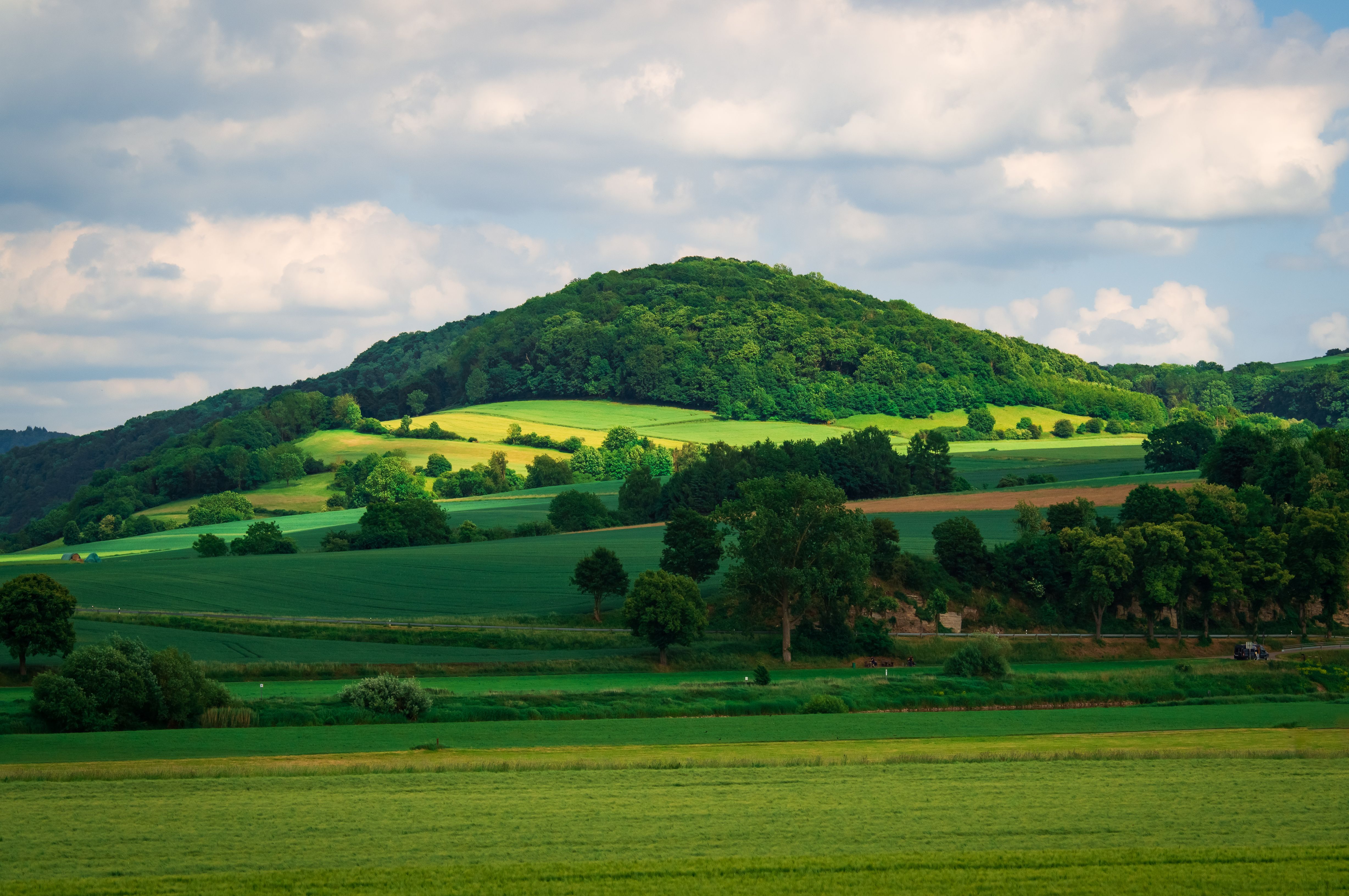 Vibrant Green Countryside Landscape in Summer · Free Stock Photo