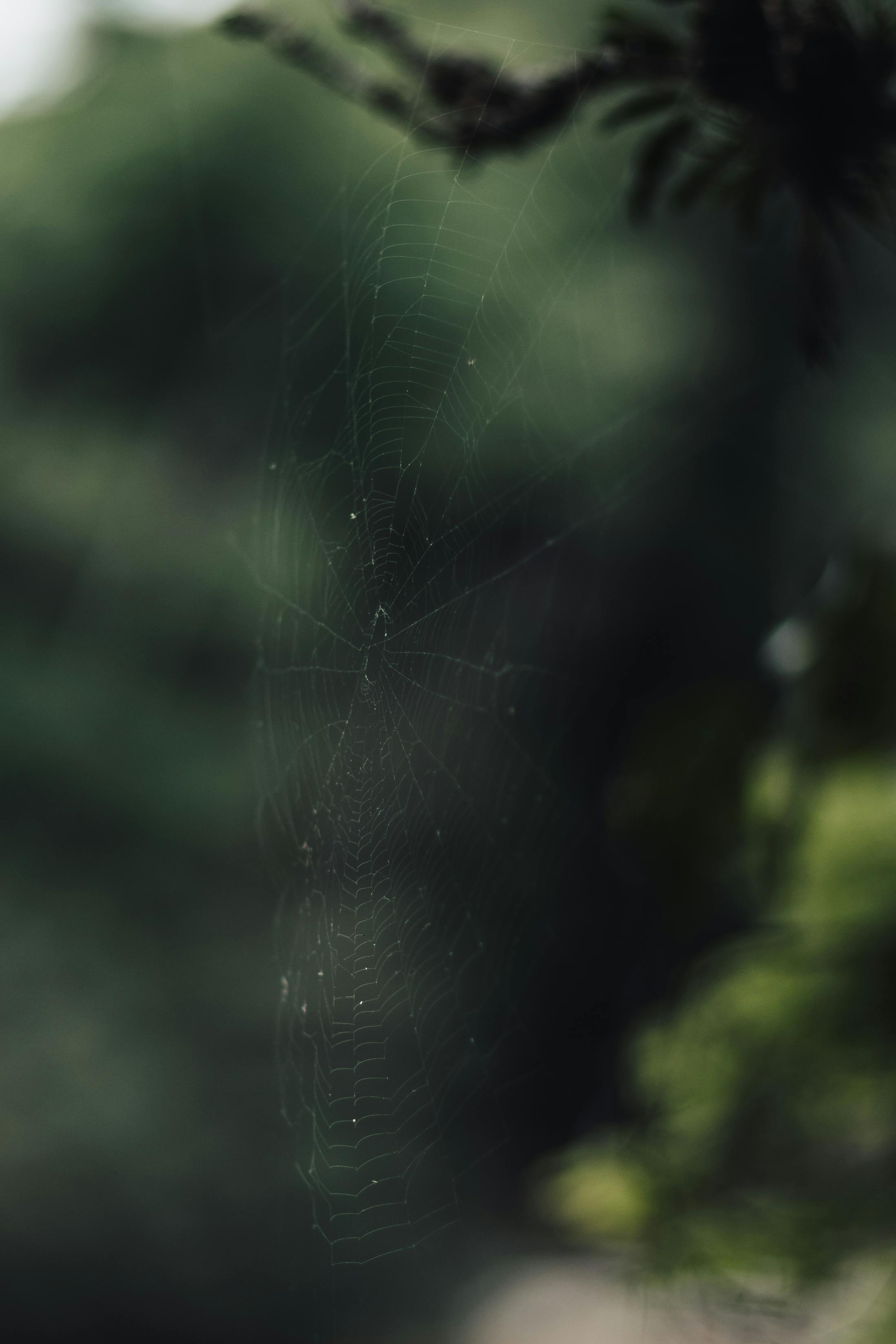 Zadarmo Fotobanka s bezplatnými fotkami na tému @outdoor, abstraktný, bokeh Fotka z fotobanky