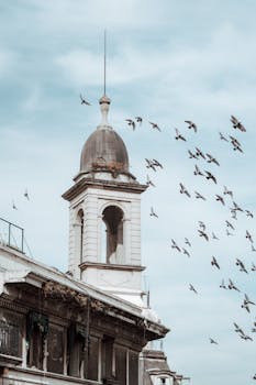 A historic stone tower with a dome surrounded by a flock of birds against a cloudy sky.