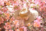 Elegant Sun Hat Amidst Blooming Pink Flowers