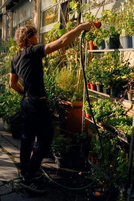 A gardener waters plants outside a shop in Paris, capturing vibrant fall foliage and urban life.