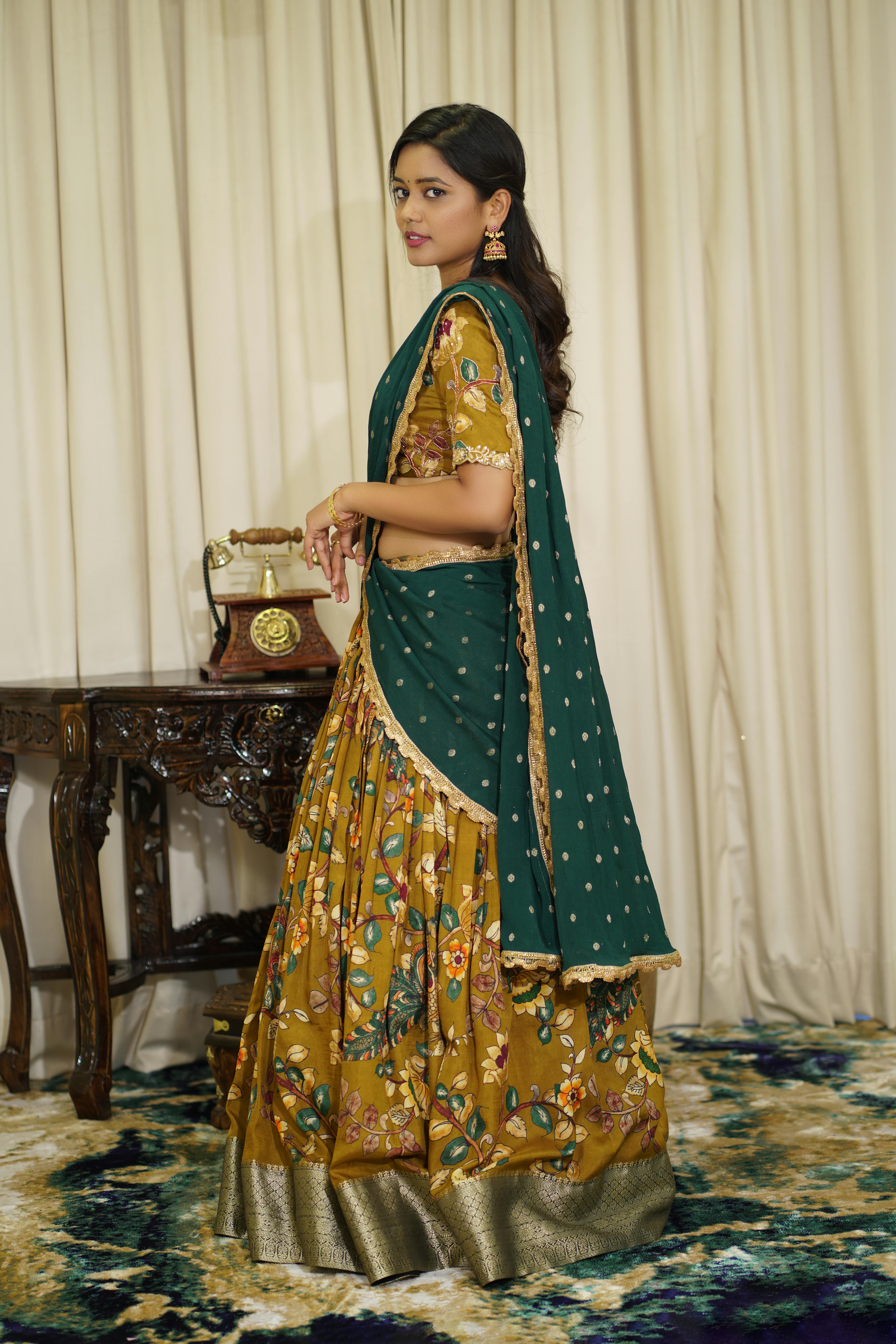 Beautiful Indian woman in traditional saree posing indoors.
