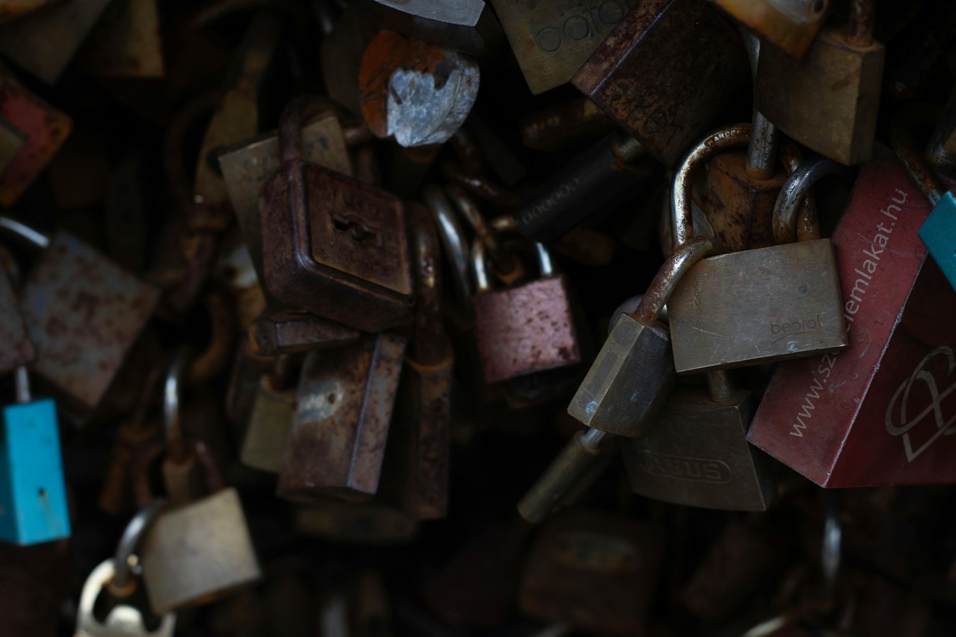 Close-up photo of rusty locks clustered together in dim lighting, conveying themes of security and time.