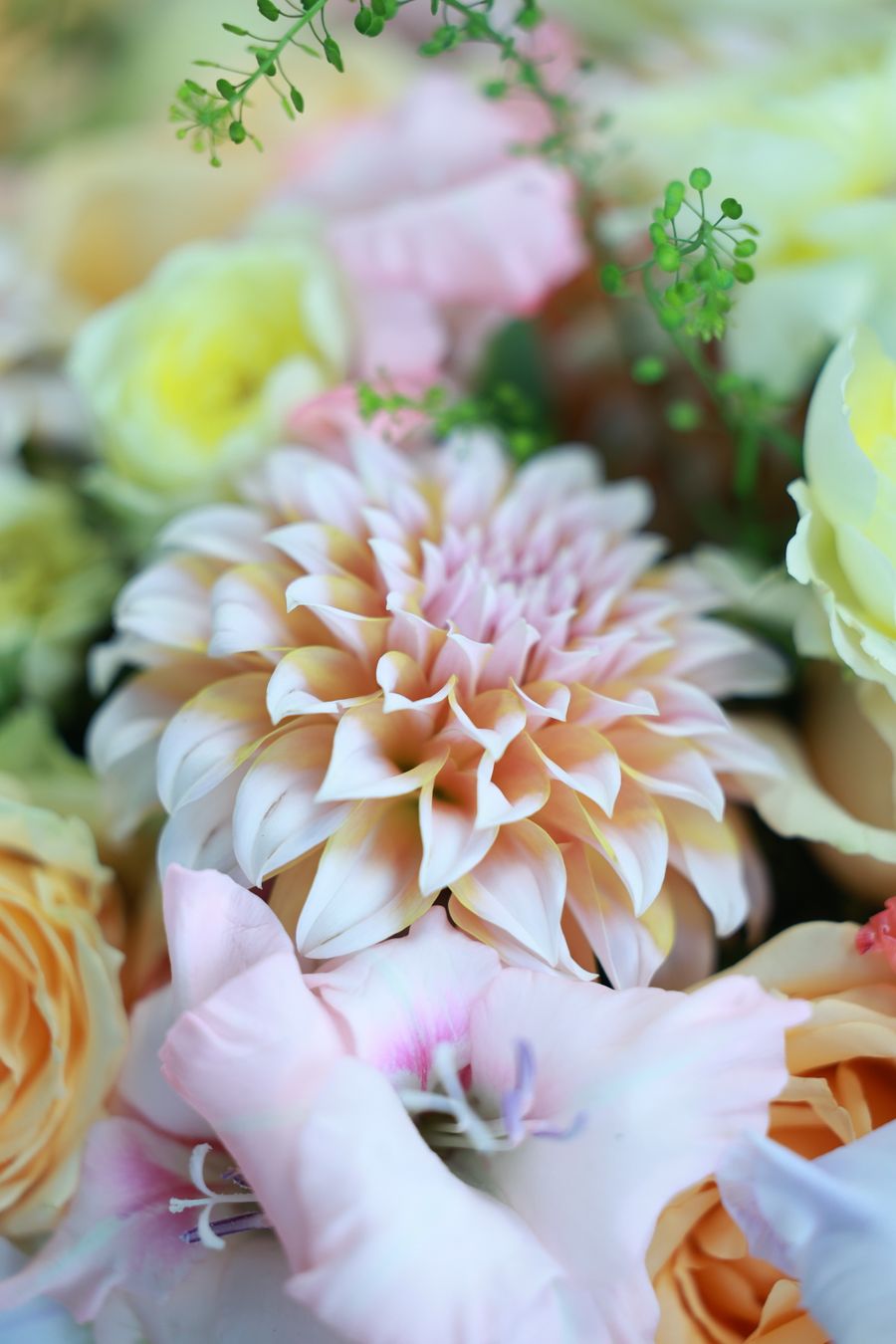 Soft Bloom Mix