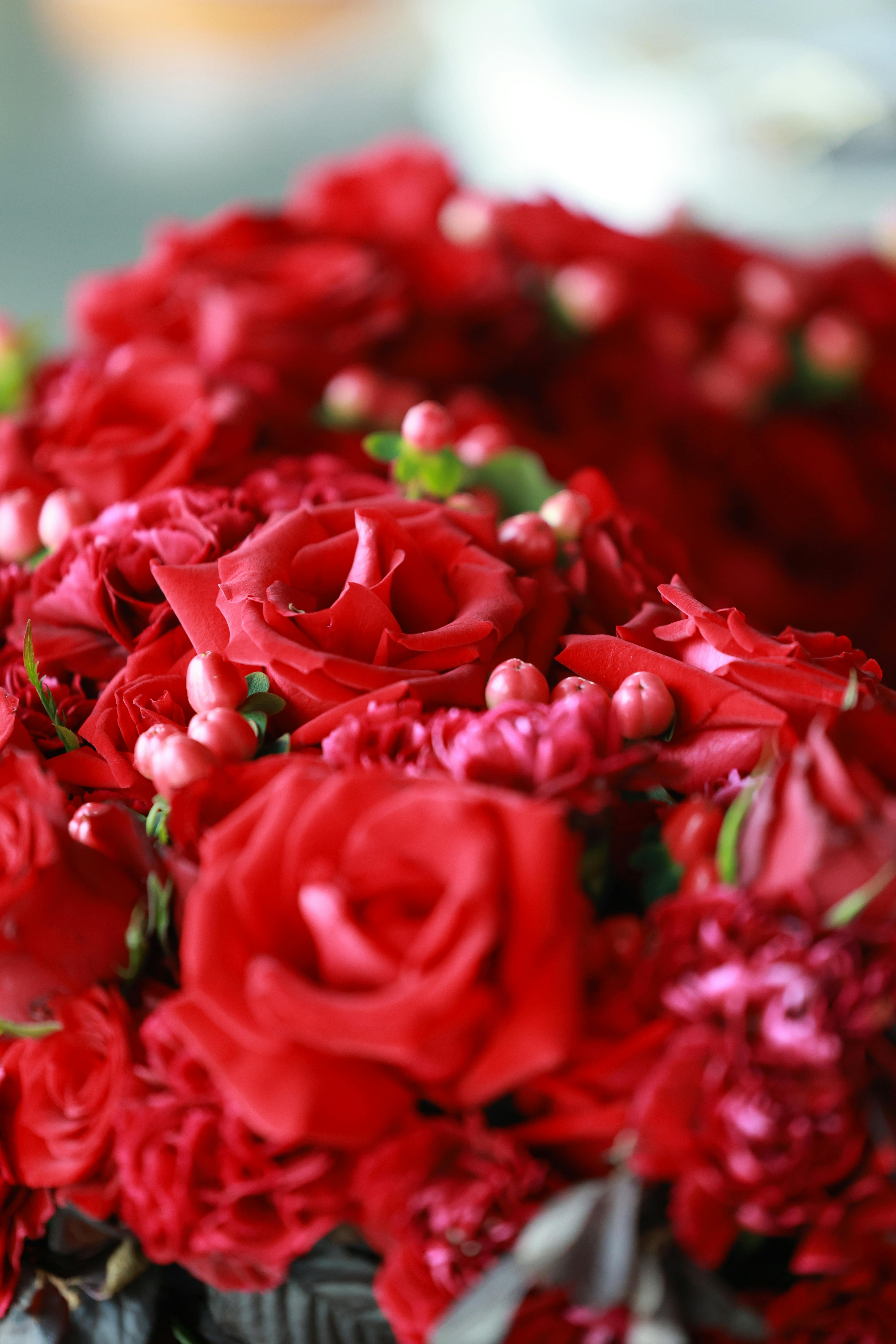 Vibrant Bouquet of Red Roses Close-Up · Free Stock Photo