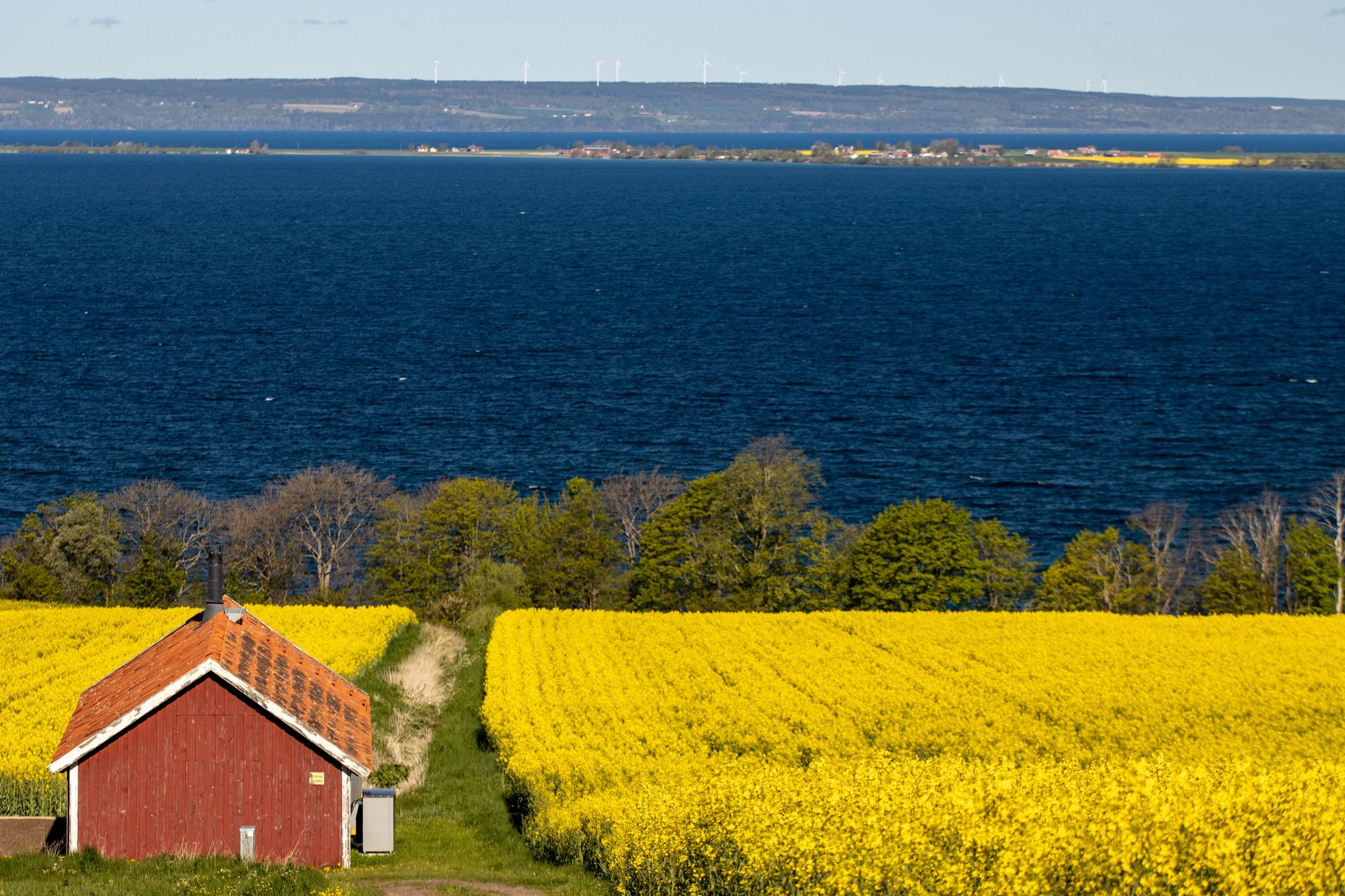 금 시세, 현명하게 알고 투자하는 2025년 최신 가이드 16 Picturesque view of a field of yellow flowers and a red cottage by Lake Vättern in Gränna, Sweden.