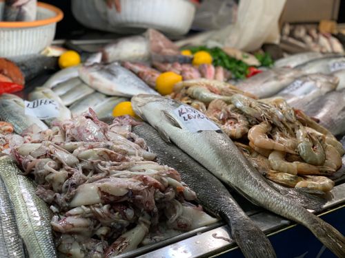 Free A vibrant array of fresh seafood on ice at Fethiye market in Turkey, featuring fish, squid, and shrimp. Stock Photo