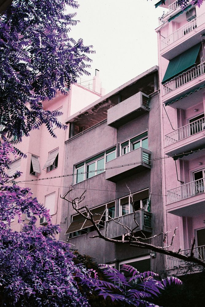 Violet Building Photos, Download The BEST Free Violet Building Stock ...