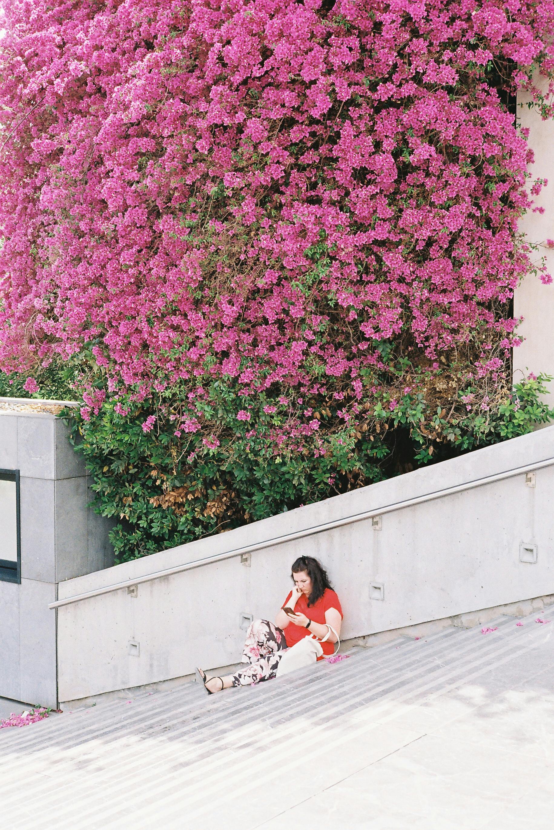 Gratuit Imagine de stoc gratuită din agrement, arc, arhitectură Fotografie de stoc