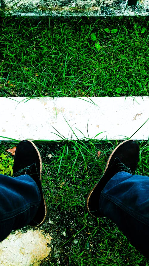 Kostnadsfria Kostnadsfri bild av blåjeans, fot, gräs Stock foto