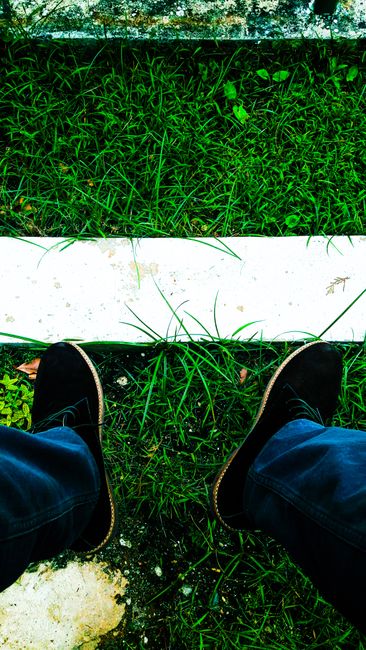 Fotomural Primer plano de zapatos negros sobre hierba verde vibrante en un entorno al aire libre.
