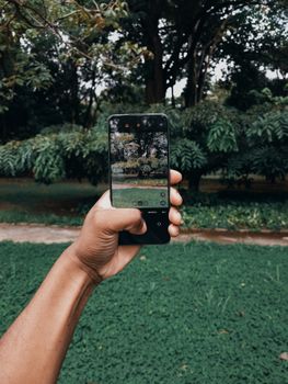 Person capturing a lush green park with a smartphone in Brazil.
