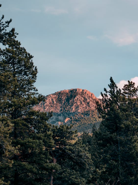 Foto d'estoc gratuïta de a l'aire lliure, alt, altitud