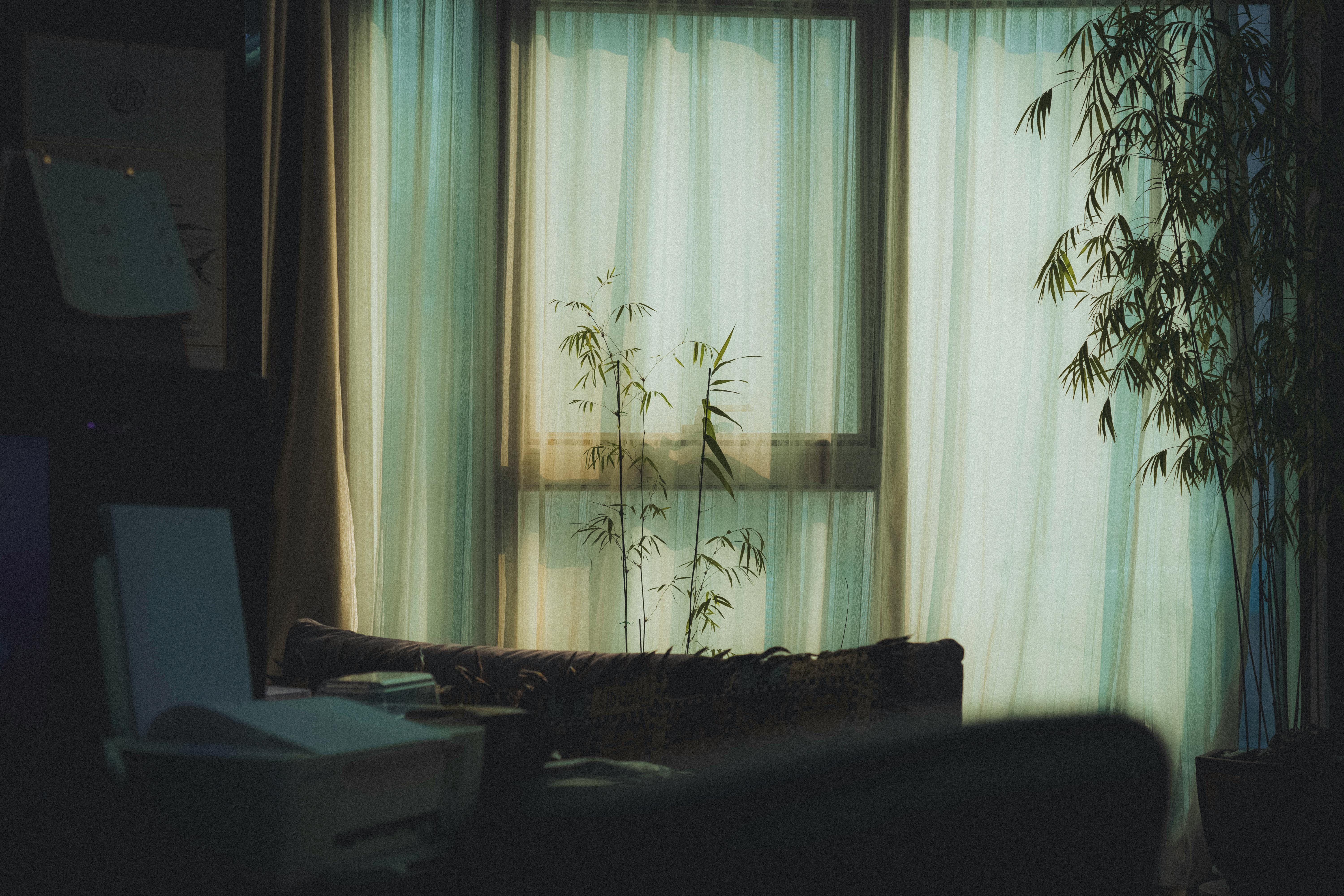 Eco-Friendly Home Upgrades for a Sustainable Lifestyle