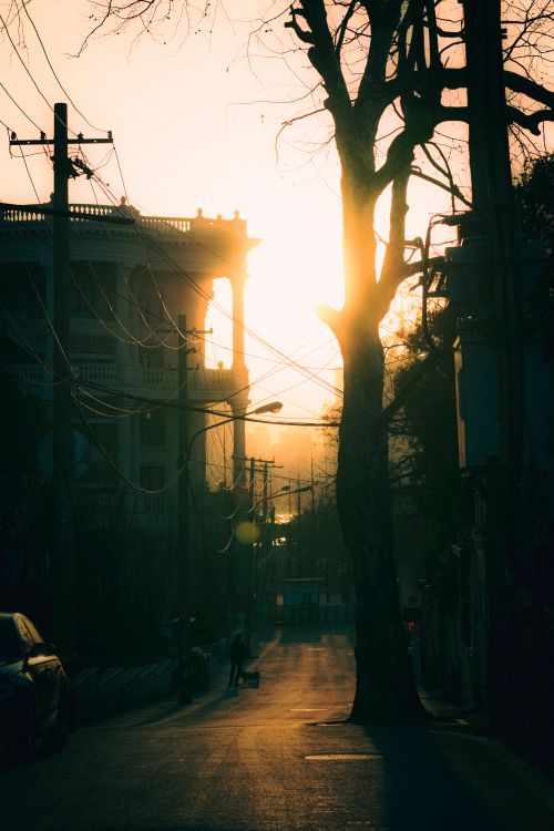 Free Dramatic urban street scene with silhouettes and sunrise. A modern cityscape captured at dawn. Stock Photo