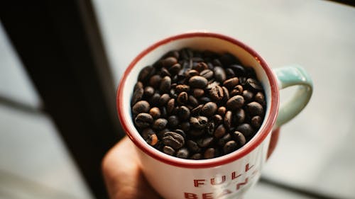 Free stock photo of coffee bean, coffee mug, mug Stock Photo