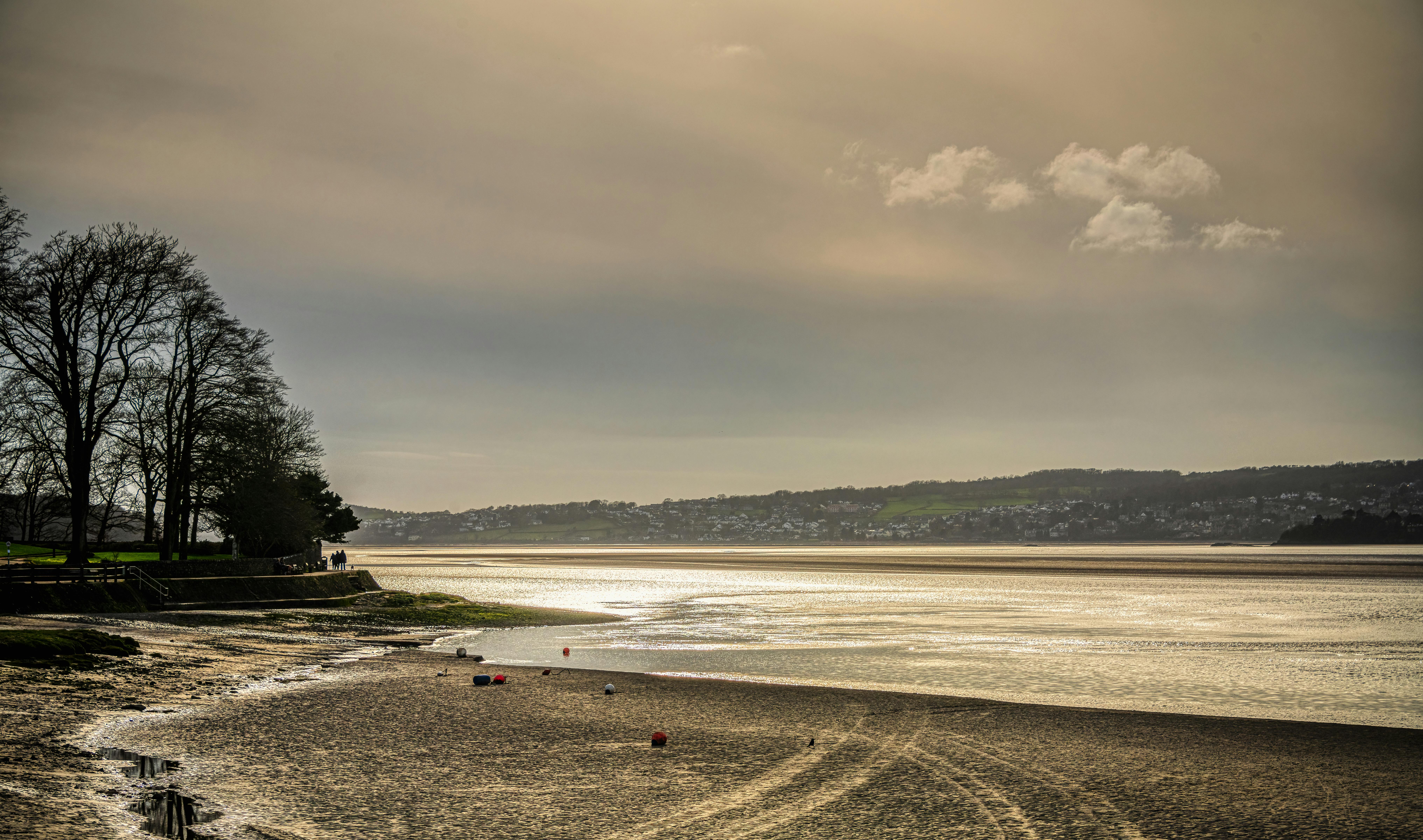 Unlocking the Mystery of Fragrance Compositions