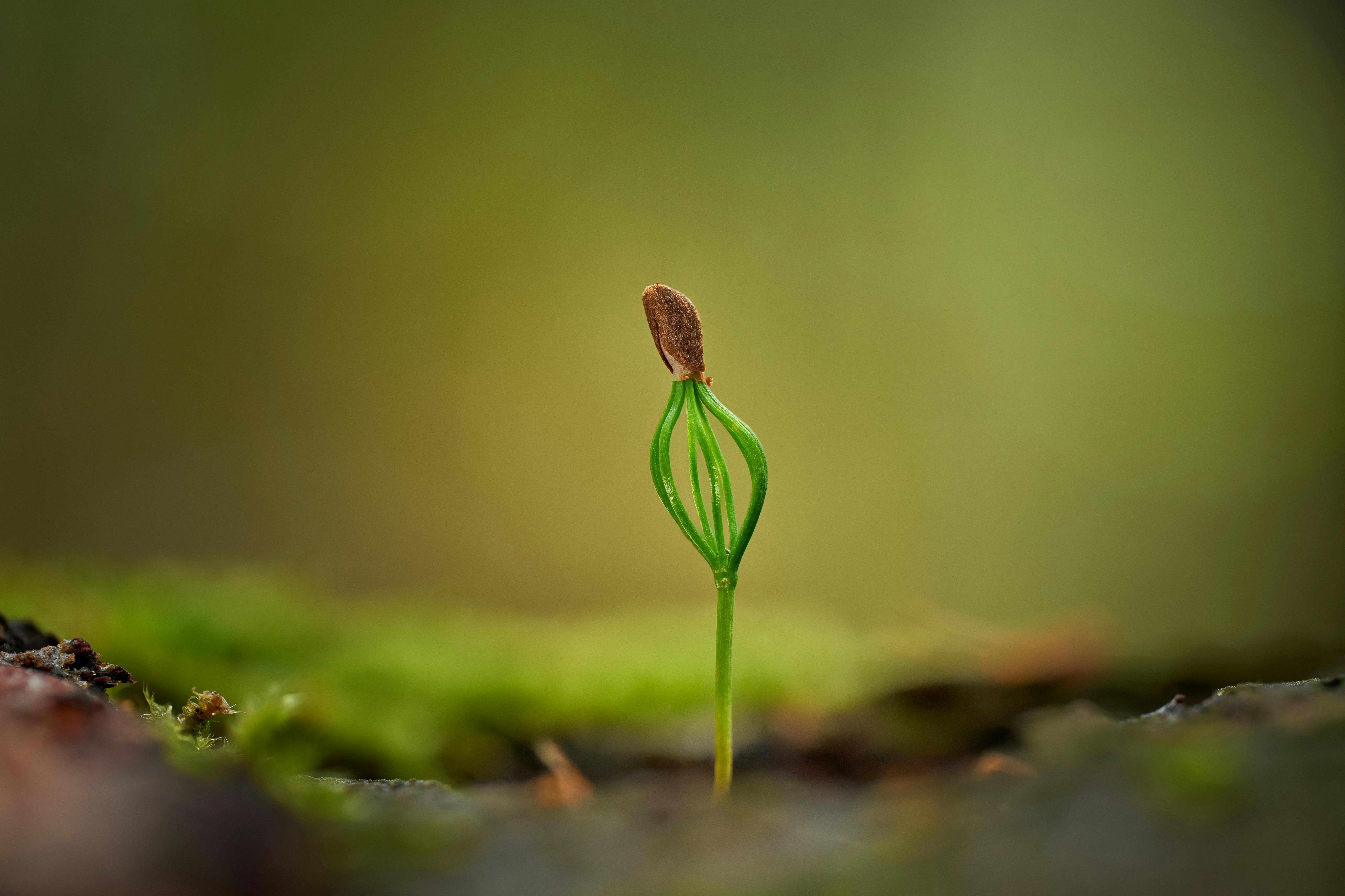 Growth Analytics Is What Comes After Growth Hacking — Photo by Tommes Frites on Pexels