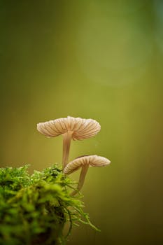Micro-Segmentation