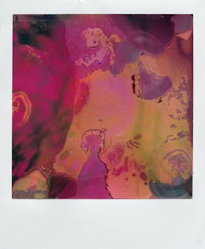 Free stock photo of polaroid