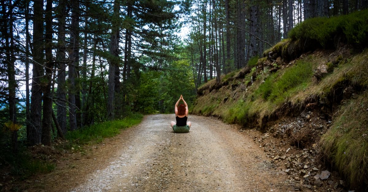Rüyada Barış Hissetmek - Rüya Tabiri ve Anlamı - Yaz mevsiminde orman yolunda meditasyon yapan, doğanın dinginliğine sarılan bir kişi.