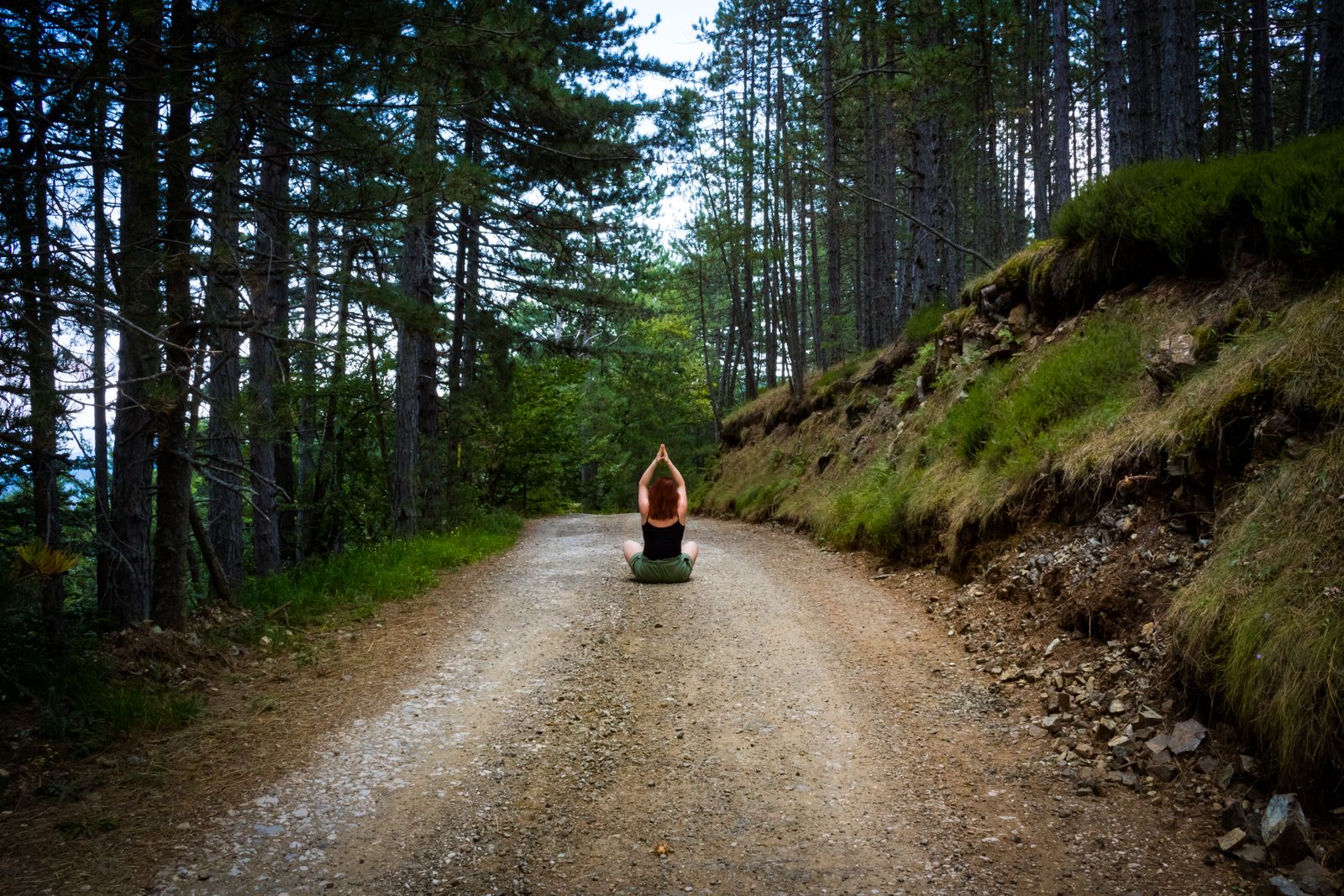 Person seated in meditation pose on a forest path surrounded by trees