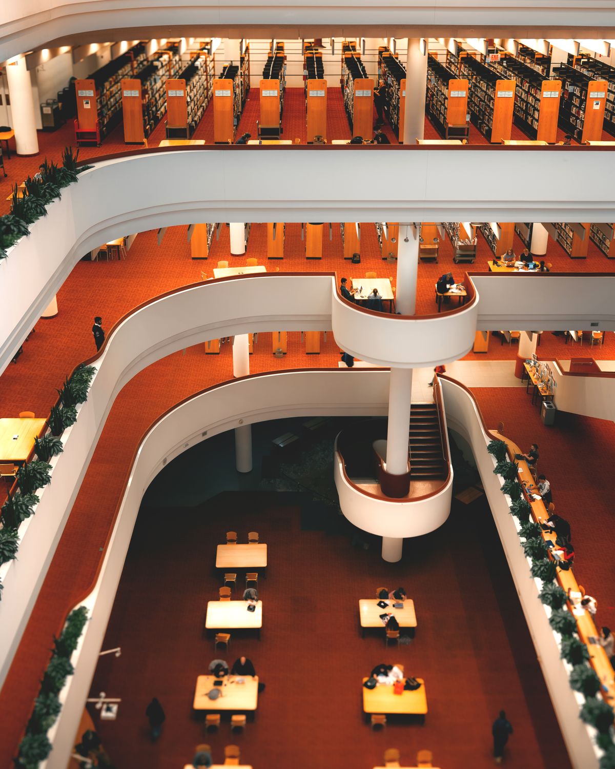 Interior of elegant spacious multistory library · Free Stock Photo