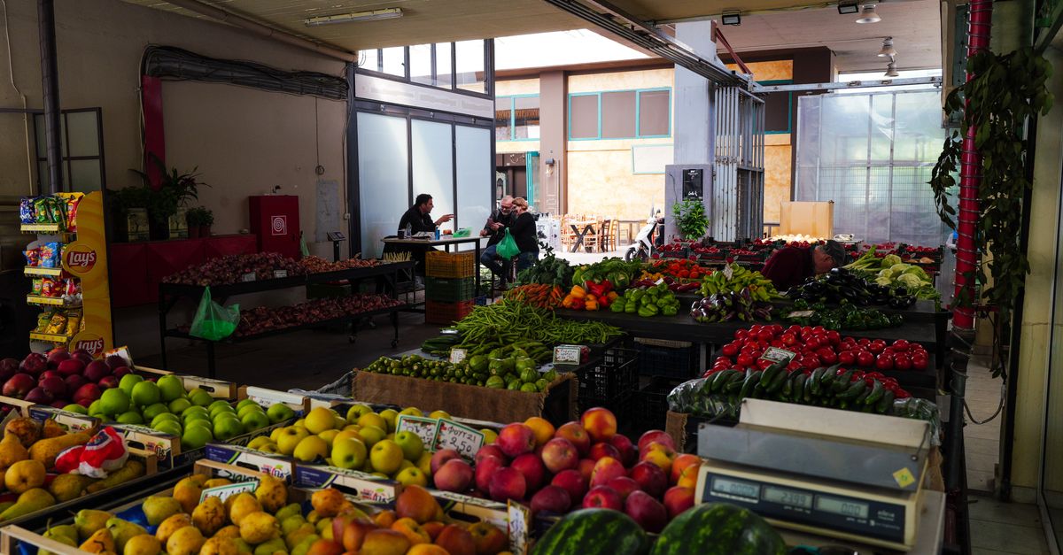 Les meilleurs conseils pour réussir vos courses en épicerie en ligne