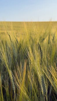 라면물 종이컵으로 바라본 지속 가능한 경제 혁신 라면물 종이컵으로 바라본 지속 가능한 경제 혁신