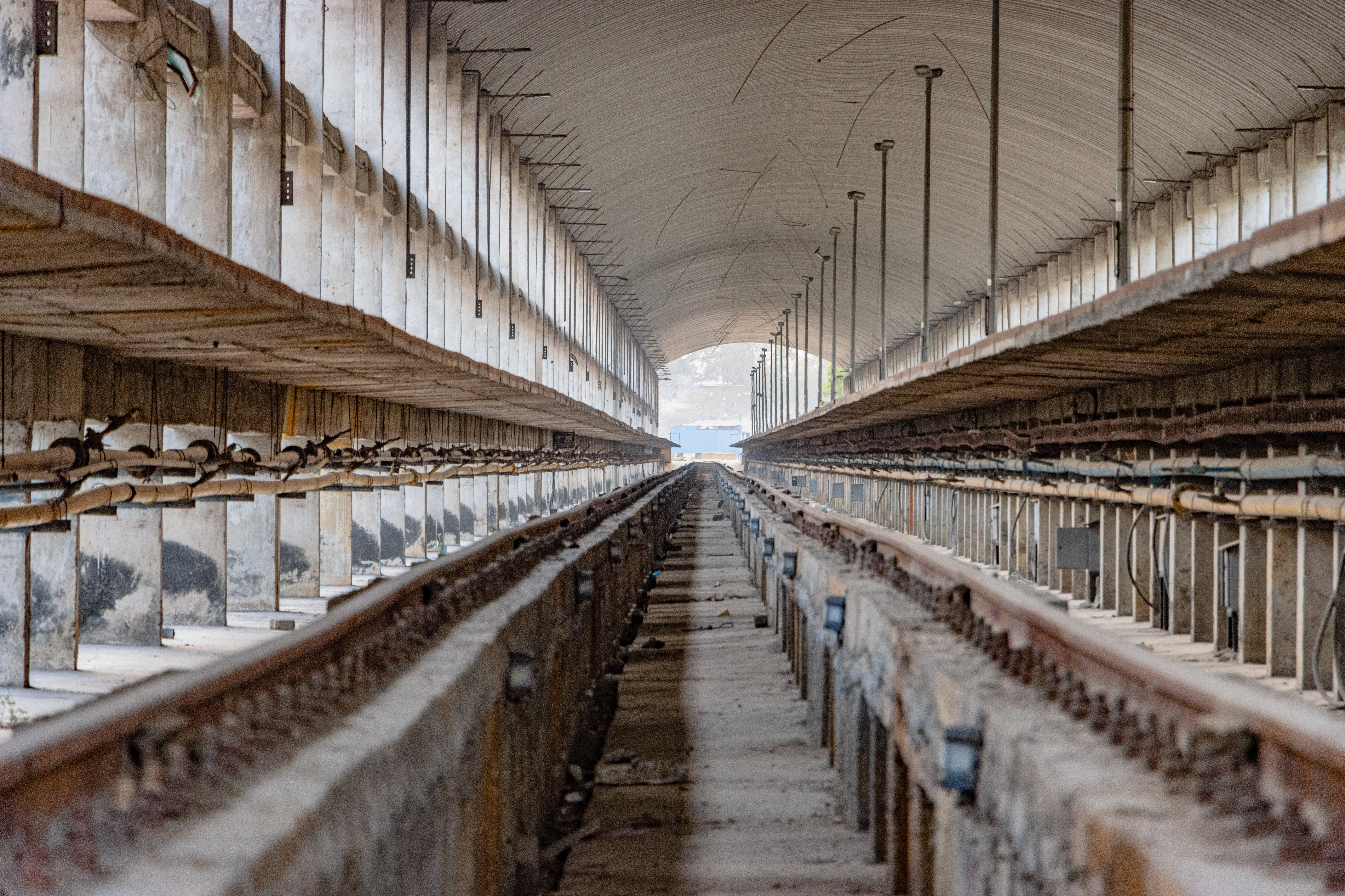 Platform Engineering: Building Internal Developer Platforms to Improve Developer Productivity — Photo by Shantum Singh on Pex