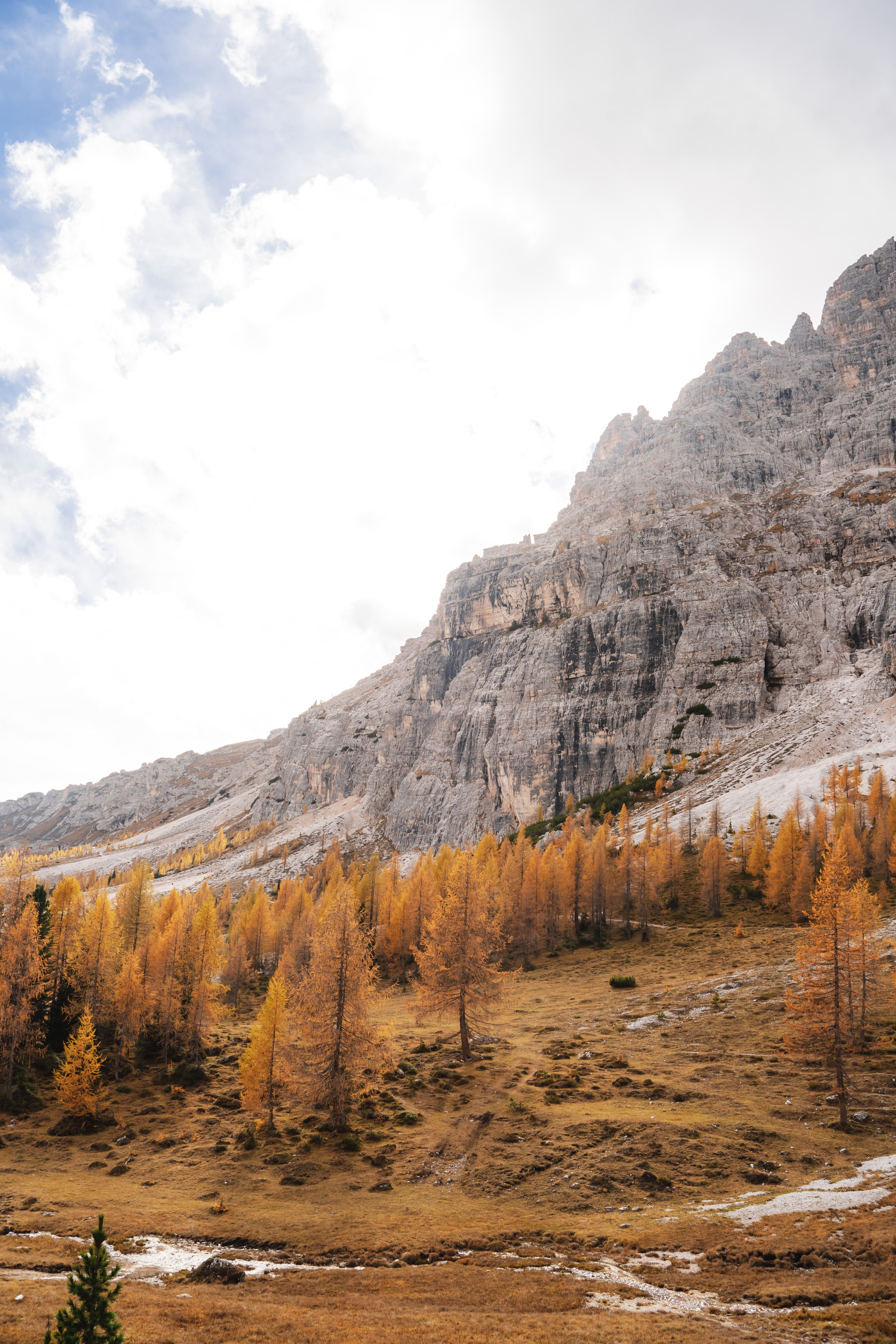 Scenic Autumn Landscape of Majestic Mountain · Free Stock Photo
