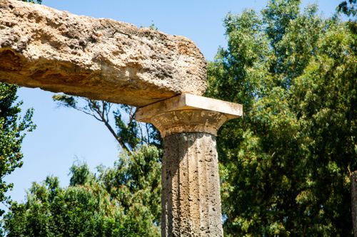 Free Close-up of an ancient Roman column with rich foliage, under a clear sky. Stock Photo