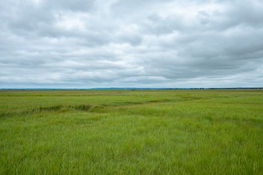 Explore the expansive green fields near Le Mont-Saint-Michel under a dramatic cloudy sky.
