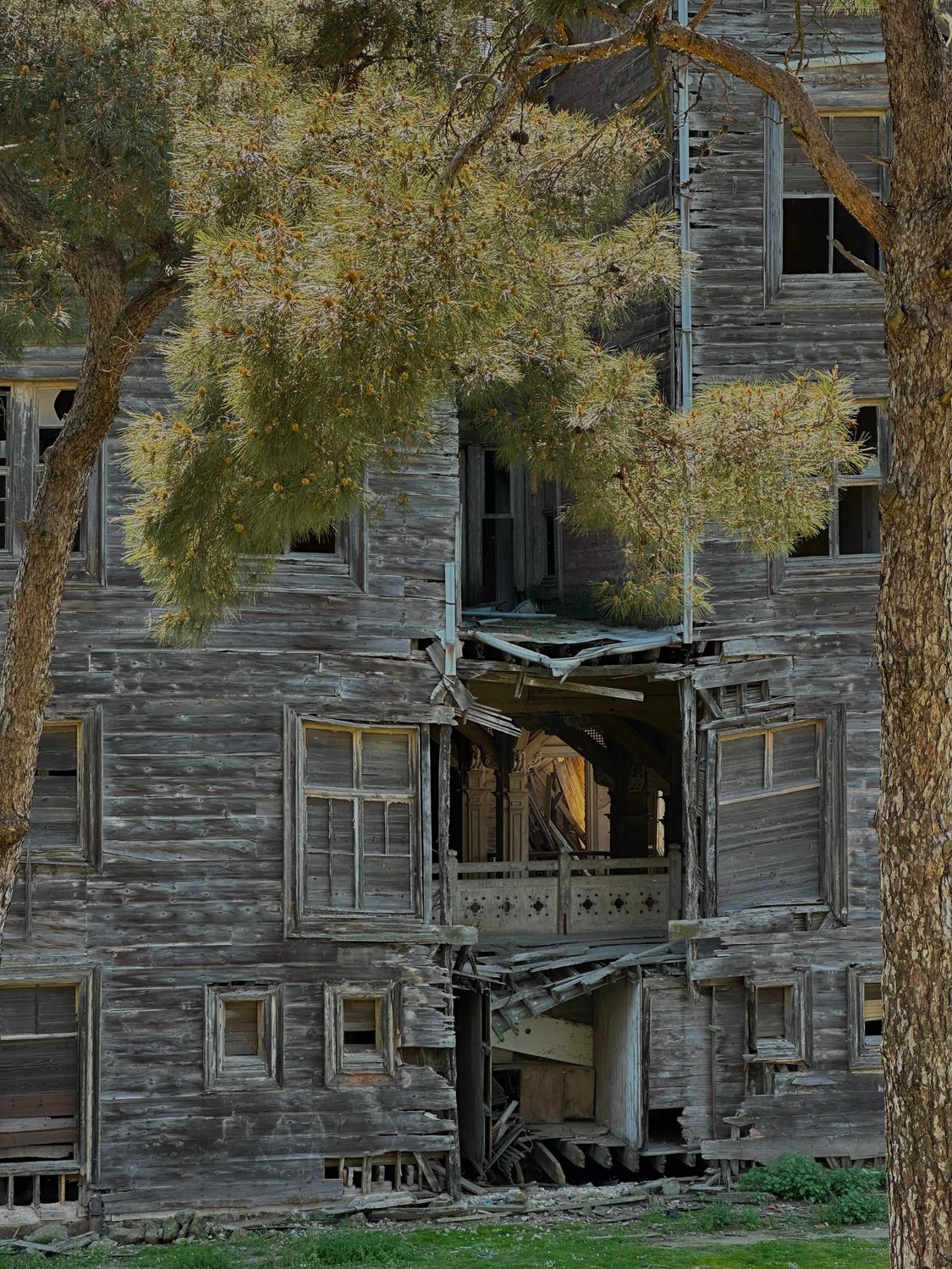 Overgrown Building Tree Abandoned Wooden Building with Overgrown Trees · Free Stock Photo