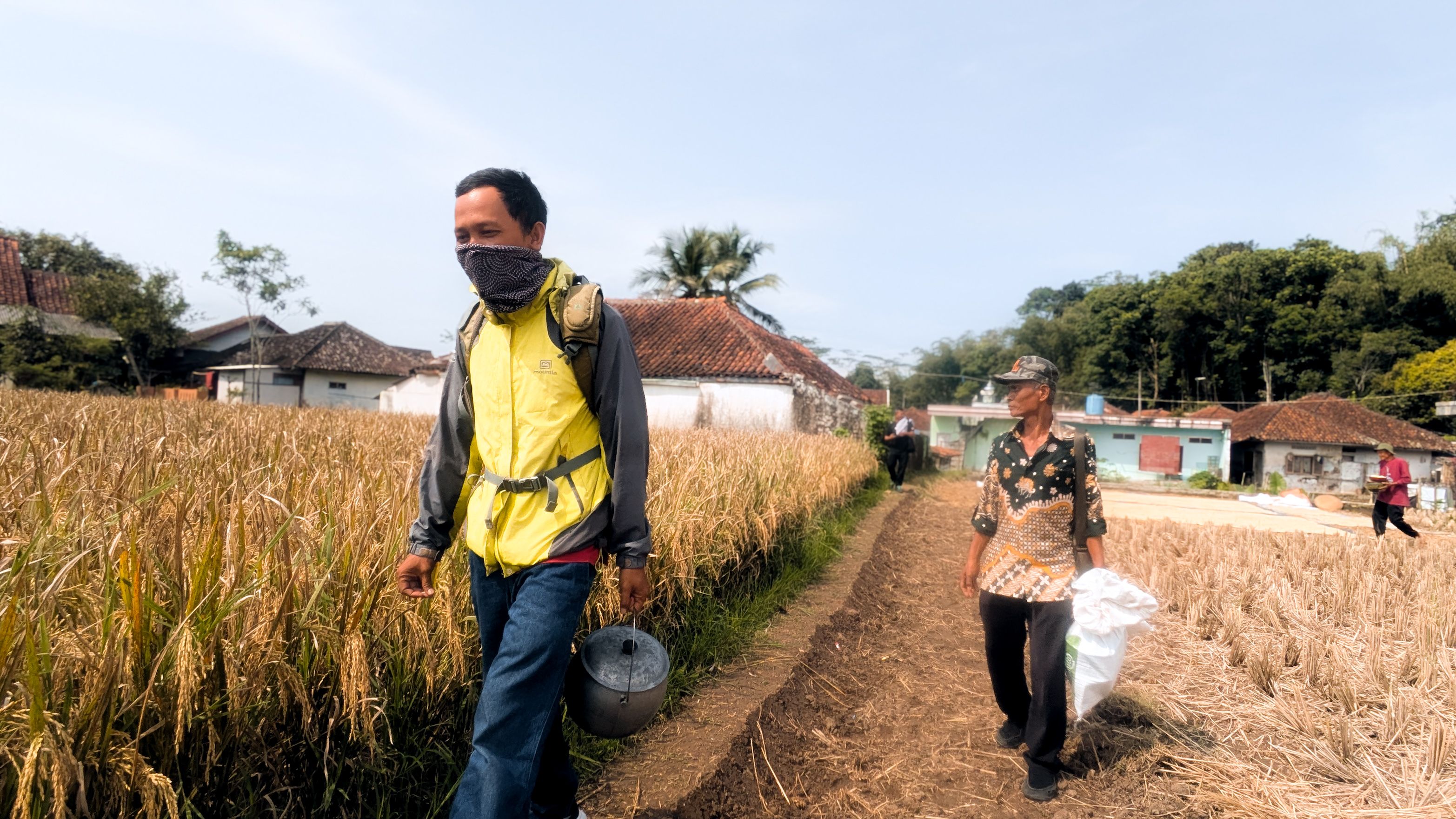 Farmers Walking through Lush Rice Field · Free Stock Photo